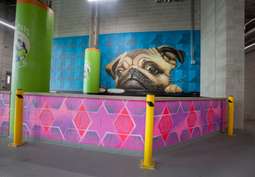 Image of Synergy at Mayfair Collection in Wauwatosa, WI
