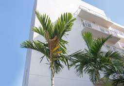 Image of The Corridor in Miami, FL