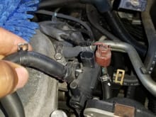 Disconnecting purge valve solenoid hoses