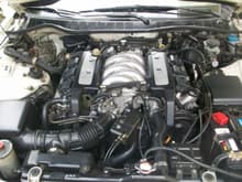 My 1997 3.2 Acura TL