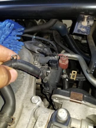 Disconnecting purge valve solenoid hoses