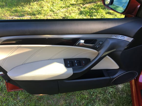 No visible wear,  damage, stains or marks on door trim panels.