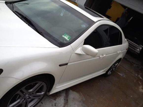 new tints 2