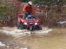 BG Taking a dip