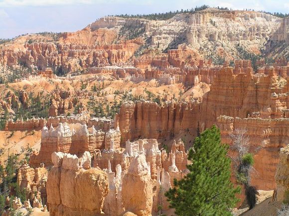 Bryce Canyon, UT                                                                                                                                                                                        