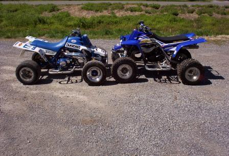Another pic of two of my banshees.