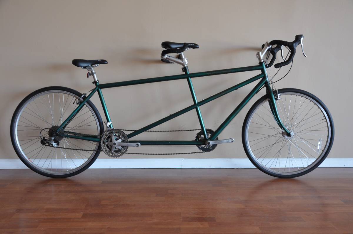 Burley rumba hot sale tandem