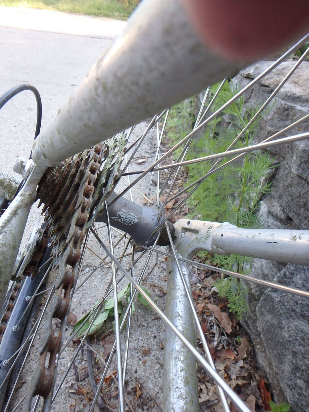 These are Deore Xt hubs with 3x lacing on the back and radial on the front. Makes me think it never spent much time off road.