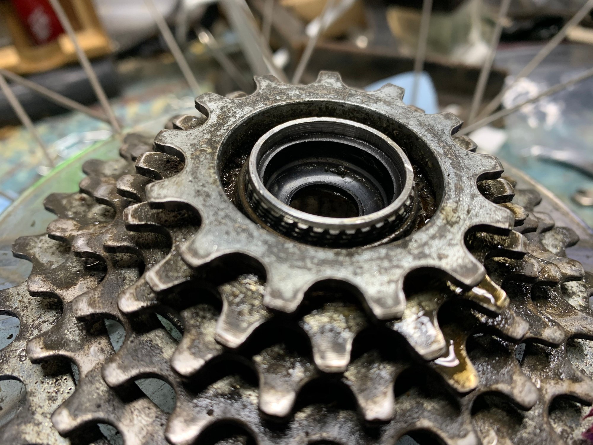Tool for cassette/sprocket removal? Bike Forums