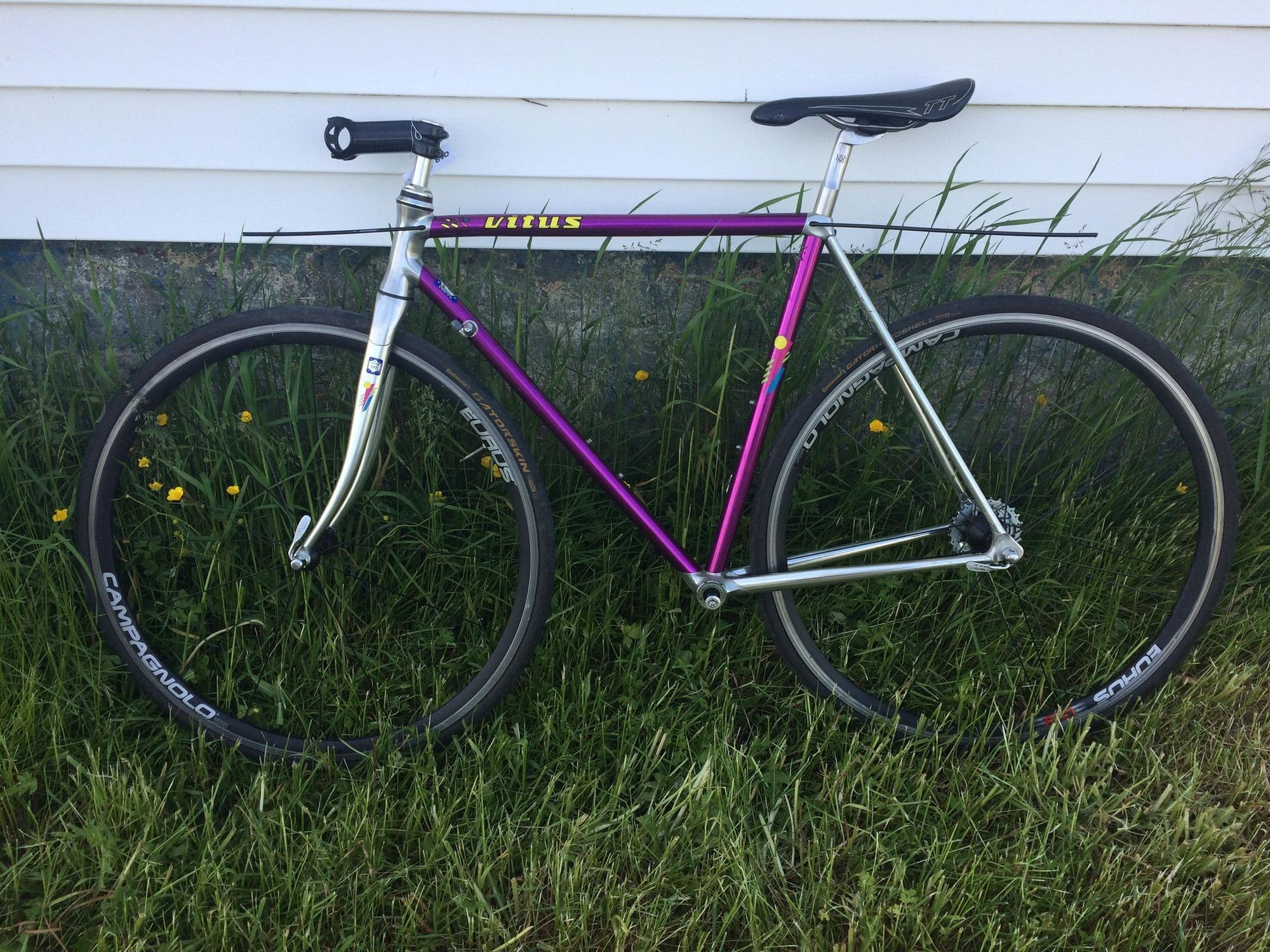 vitus frame