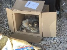 My Box! 