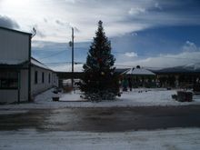 These are about the only Christmas decorations up in town pretty said.