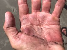 Grips are about rotted away