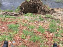 Recent flooding damage on Cedar River