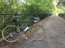 The black fencing seemed a match