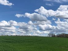 Beautiful white puffy clouds on the ride back.