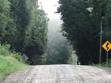 Johns Creek Road has long been a favorite of mine, but it’s been years since I traveled it.