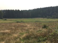 Fields and open space

