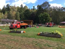 Pumpkin Patch activities