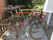 Started the rotation today - the yellow one, blue one, red one, green one!