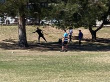 Serious Frisbee.