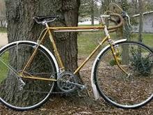 Reynolds 531