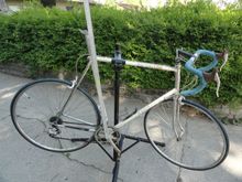 Tall Raleigh racing USA in need of a new owner