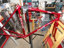 Frame and fork normal sizing for group.