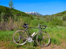 Did a bit of Wheeler Canyon also