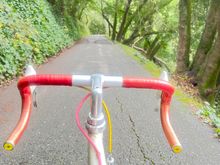 Gratuitous behind the bars, coming down butters Road