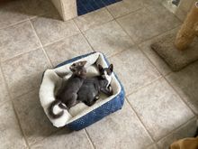 3 weeks ago! Today I’m being terrorized lol. 