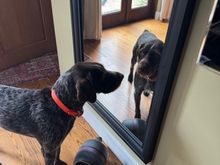 This went on for a while. 