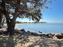 Nice view of the shore from the bay trail.