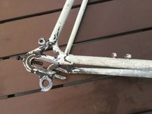 Campy dropouts.