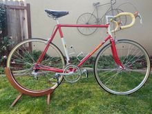 My build of the bike. 