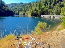 After passing over the dam, there’s this lush, redwood-shaded climb up the last ascent before dropping down to the shore.