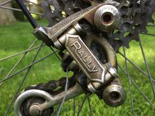 Campy Rally