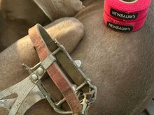 But wait, there is more!!

Brand new tape and some campy pedals with Christophe clips. Reg strap buttons 