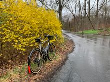 Found some spring color.