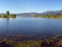 Water level is finally starting to drop some in this cove.