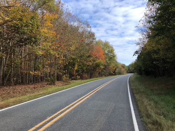 Leaf colors are starting to change in Piedmont NC.