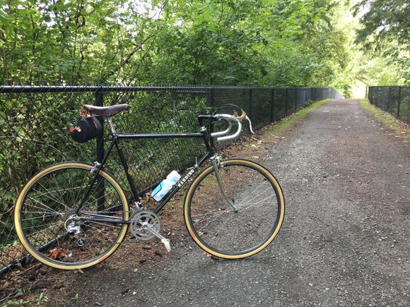 The black fencing seemed a match