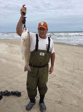 Windy very cold, decent redfish for catch and release and into the grease. Cat left me 3 pees LOL. Padre National Seashore south of Corpus Christi, Texas. 