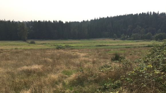 Fields and open space
