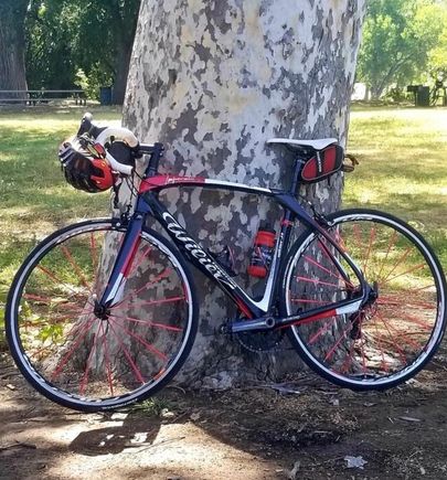 This is the bike for the project. Yes I do intend to have a limited number of Wilier graphics placed on the new paint job. Probably just the head badge and lower tube as it is now.