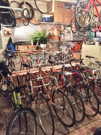 I chose roadies, mostly.  Not sure Perfect, but some very, very, very nice ones - for the rides I am on.  