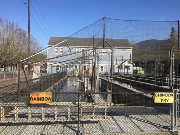 Fish Hatchery, 
but the Brewery/Pub = closed