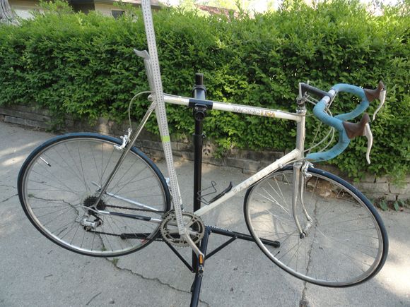 Tall Raleigh racing USA in need of a new owner