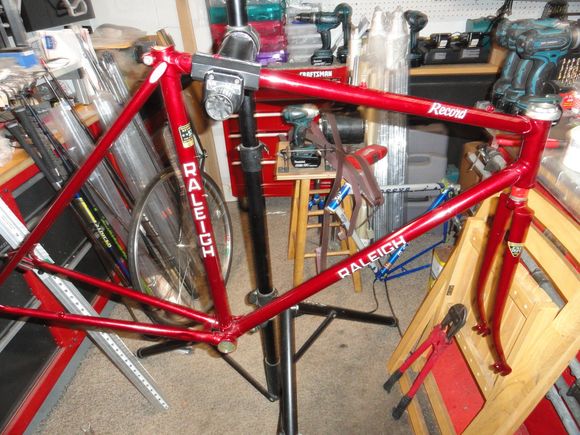 Frame and fork normal sizing for group.