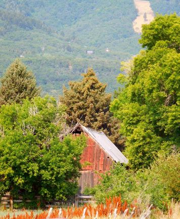 Barn in Eden